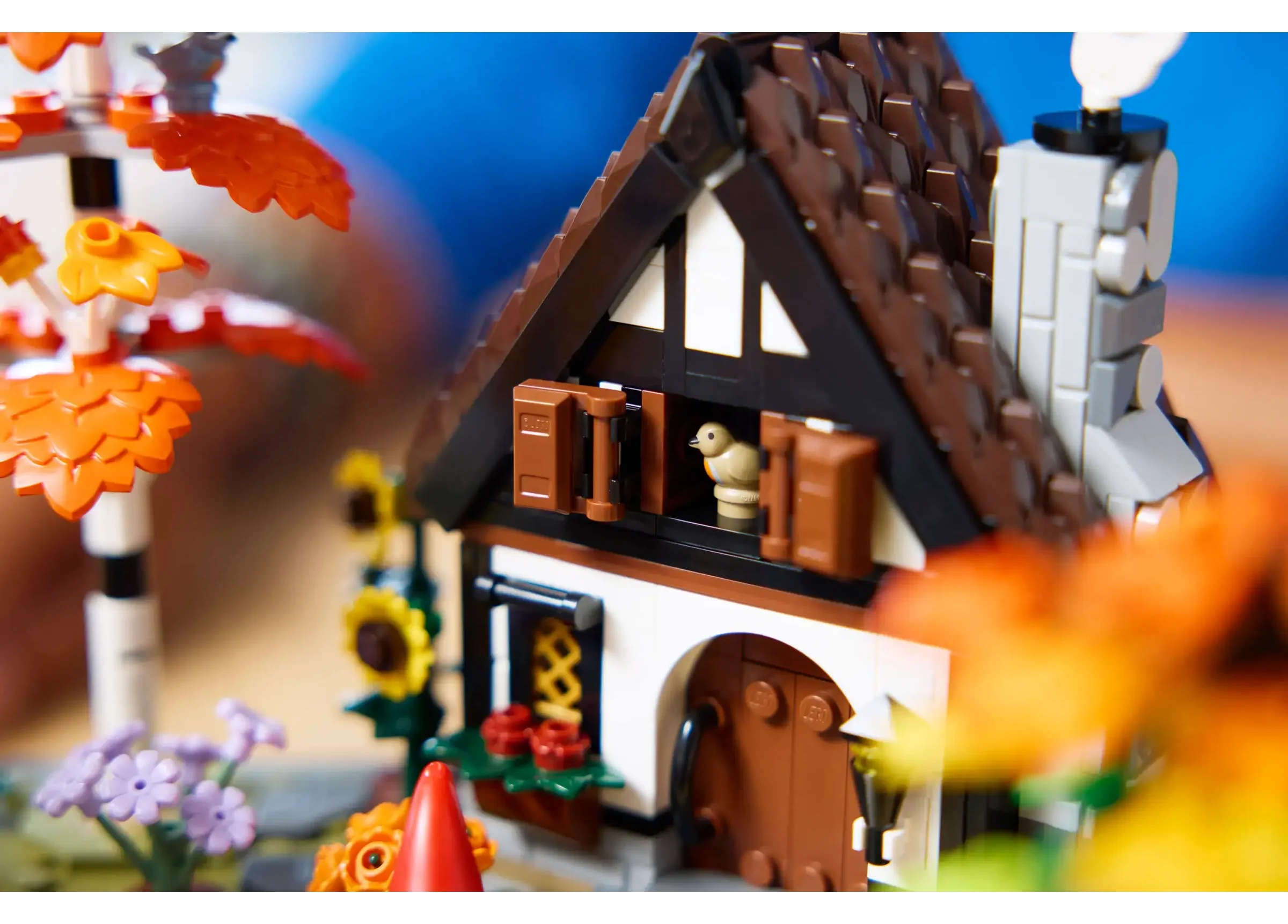 Thumbnail 12